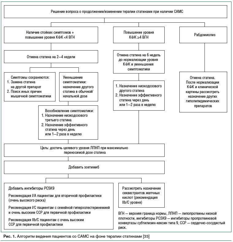 Рис. 1. Алгоритм ведения пациентов со САМС на фоне терапии статинами [33]