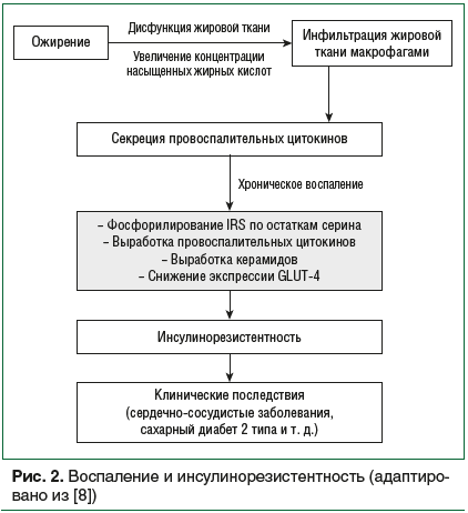 Рис. 2. Воспаление и инсулинорезистентность (адаптировано из [8])