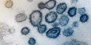 У коронавируса каждую неделю появляются две новые мутации — инфекционист