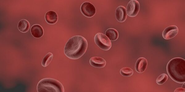 Названы способы повысить уровень гемоглобина в крови