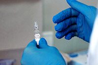 «Эпиваккорона» проходит новую стадию испытаний