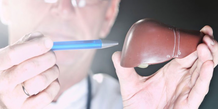 Печень определяет предрасположенность к ожирению и болезням сердца