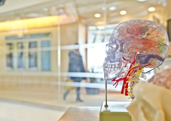 По старческому маразму ударят белком