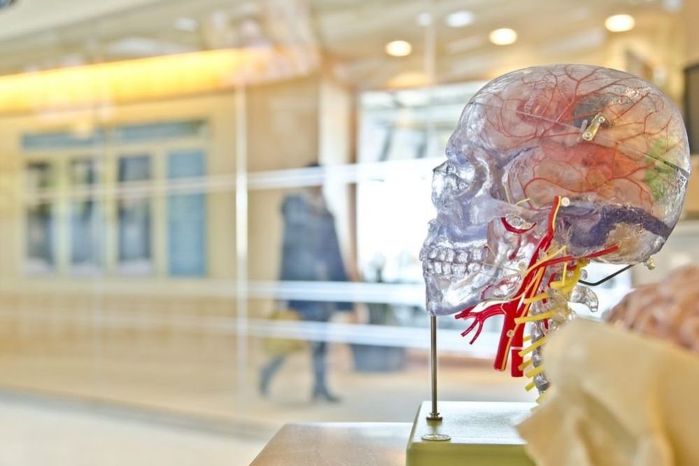 По старческому маразму ударят белком