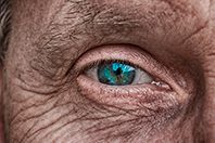 Научный прорыв: комбо технологий помогло частично вернуть зрение