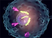 Уникальные противовирусные препараты начали тестироваться учеными