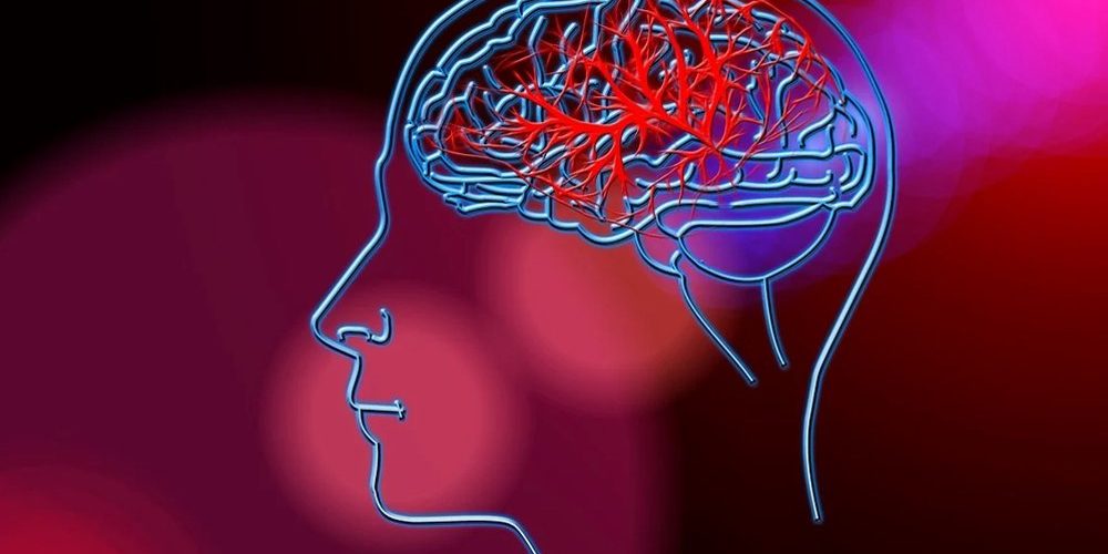 Ученые определили ключевой ген детского инсульта