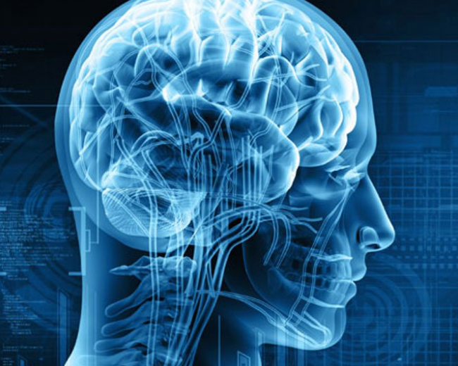 Какая простая привычка поможет сохранить здоровье мозга