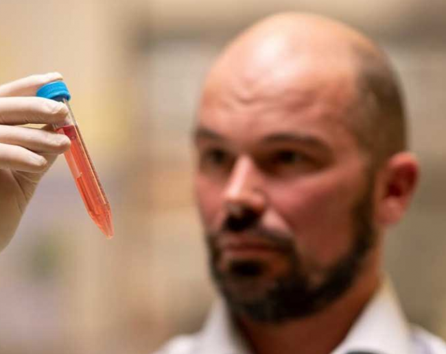 В Австралии создали гидрогель для лечения неврологических болезней