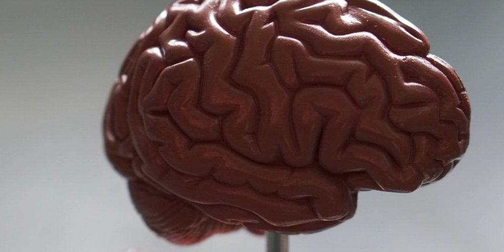 Кетоны помогают защитить мозг людей с ожирением