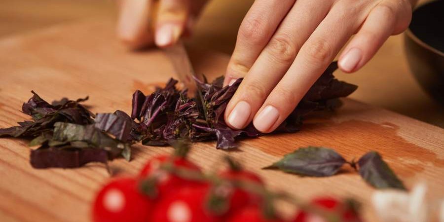 Выявлена способность базилика замедлять деменцию