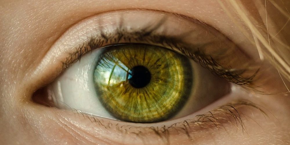 Катаракта может повышать риск смерти от инсульта и сердечного приступа