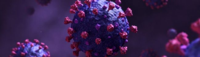 The Lancet: Спутник Лайт обеспечил формирование сильного гуморального и клеточного иммунного ответа