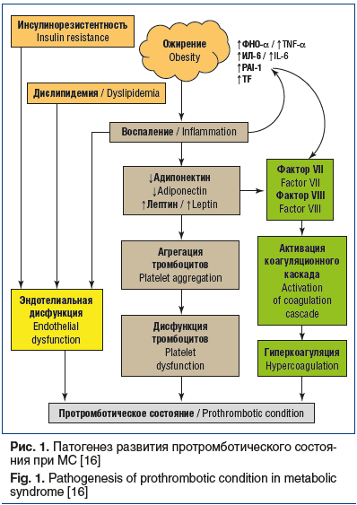 Рис. 1. Патогенез развития протромботического состоя- ния при МС [16] Fig. 1. Pathogenesis of prothrombotic condition in metabolic syndrome [16]