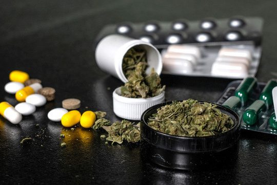 Употребление марихуаны может мешать лечению почек