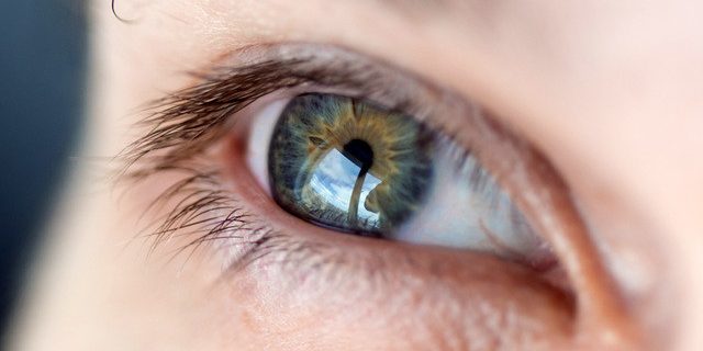 Человеческий мозг лучше запоминает большие картинки