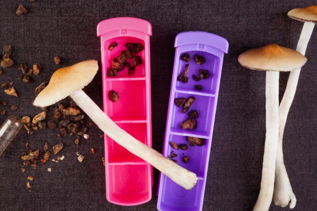 Псилоцибин помогает в борьбе с депрессией