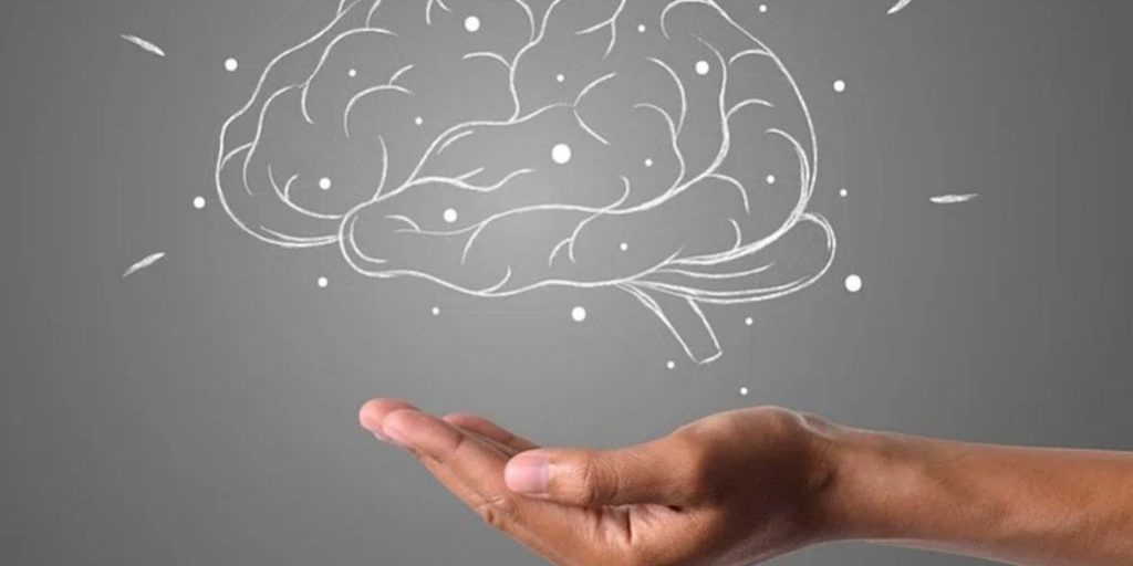 Названы лучшие продукты для поддержания здоровья мозга