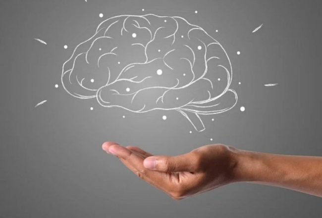 Названы лучшие продукты для поддержания здоровья мозга