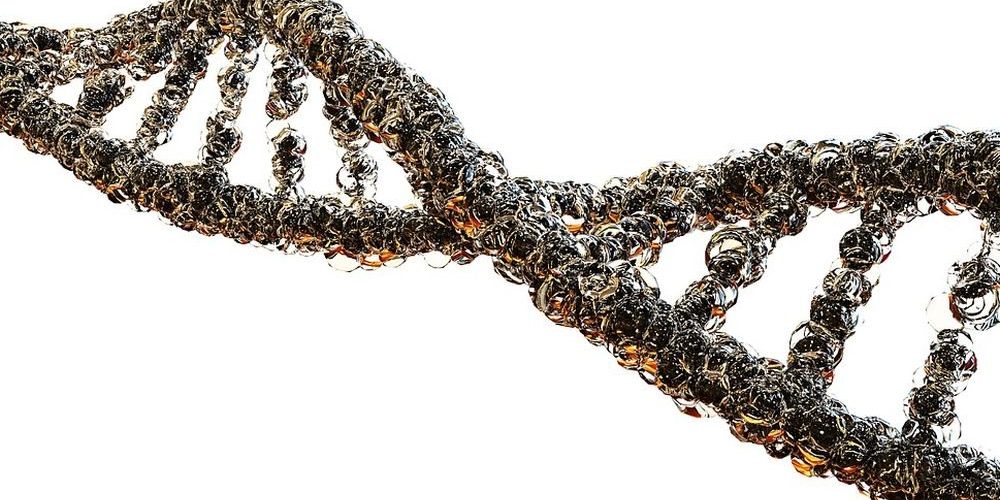 Выявлены гены, вызывающие болезнь Альцгеймера