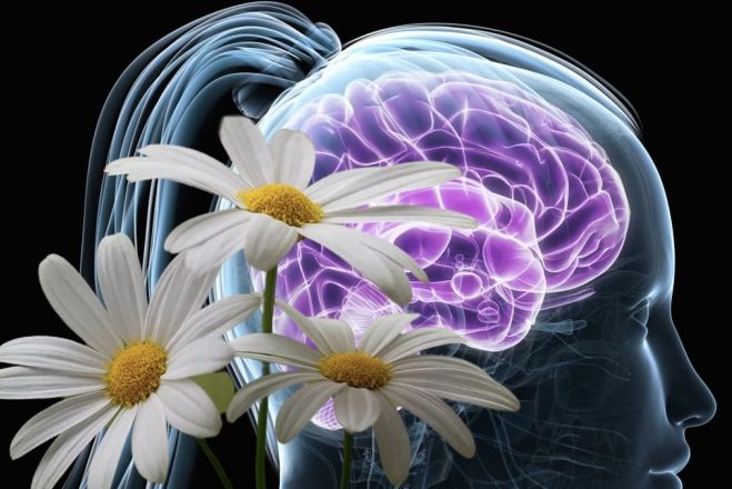 Черты характера человека влияют на здоровье мозга