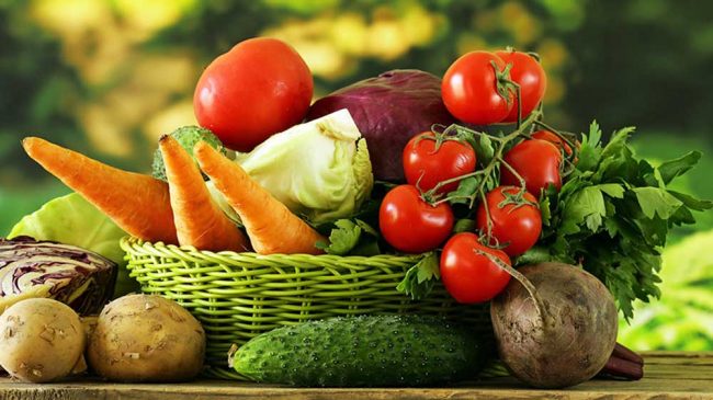 Исследователи определили особенности «диеты долголетия»