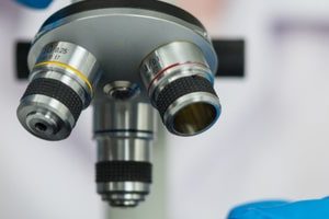Микроскоп для мозга поможет изучать его в максимально естественных условиях