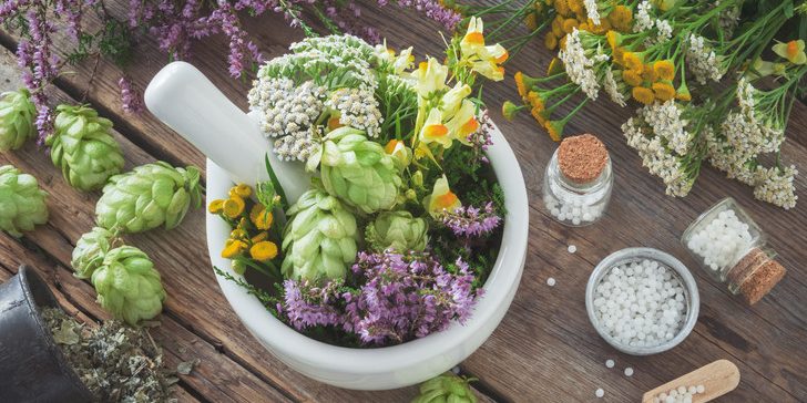 5 растений, которыми лечились наши предки — их эффективность доказана наукой