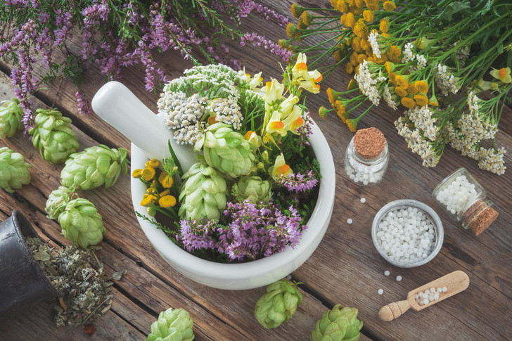 5 растений, которыми лечились наши предки — их эффективность доказана наукой