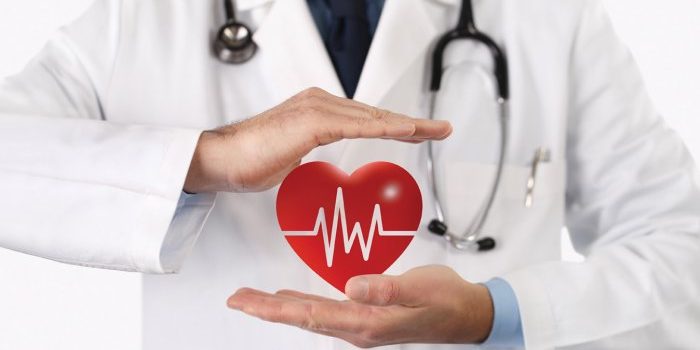 Кардиолог назвала приятный способ укрепить сердце
