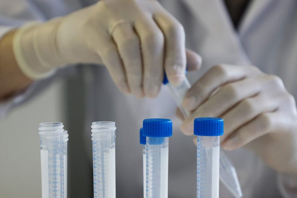 Российские врачи рассказали, как спасти население от оспы обезьян