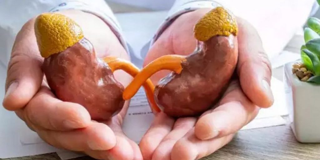 Названы лучшие продукты для защиты от хронического заболевания почек