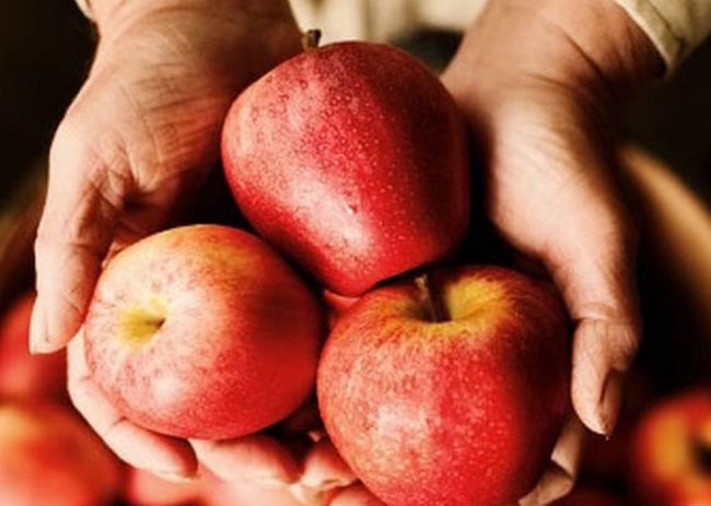 Яблоки улучшают защиту от ишемической болезни сердца