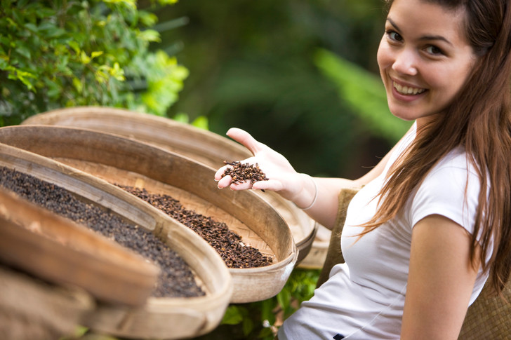 В чем польза гвоздики для здоровья: названы 8 удивительных свойств пряности