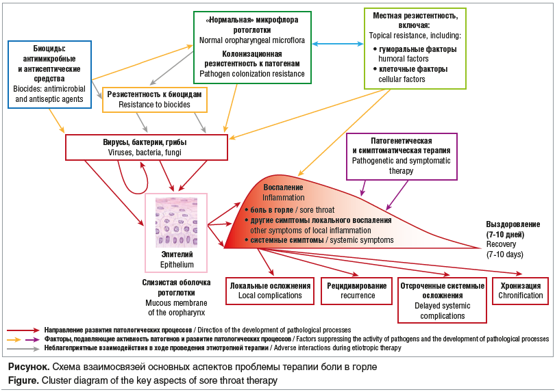 Рисунок. Схема взаимосвязей основных аспектов проблемы терапии боли в горле Figure. Cluster diagram of the key aspects of sore throat therapy