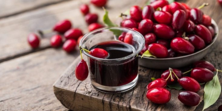 Чем полезен кизил — полезные свойства кизила для организма человека