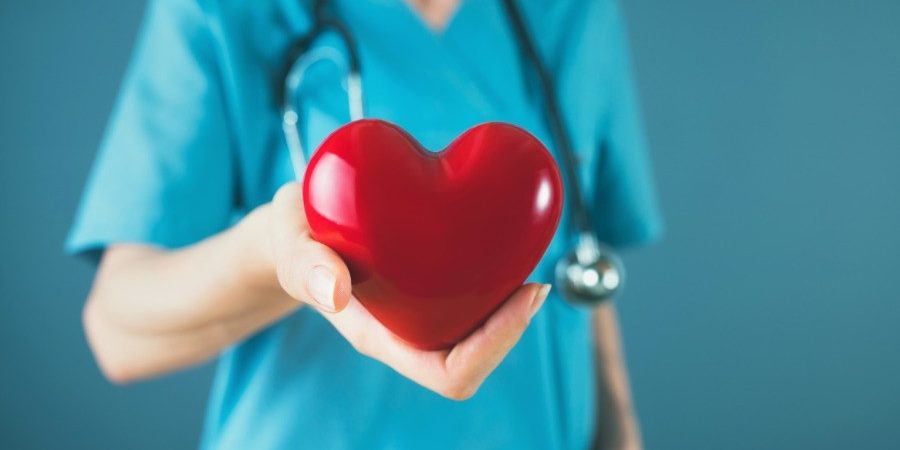 Big Think: «гормон любви» окситоцин способствует восстановлению клеток сердца — кардиомиоцитов