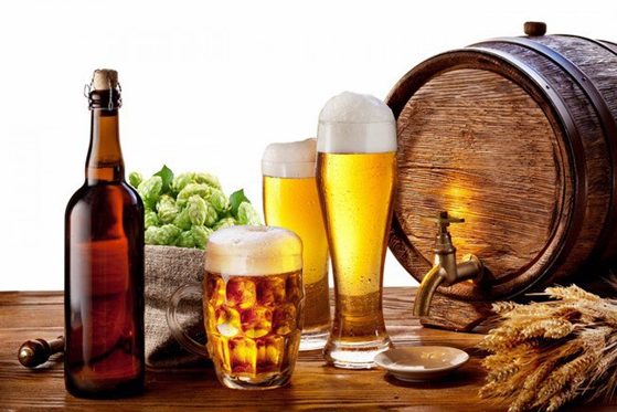 Пивной хмель оказался полезен для профилактики старческого слабоумия