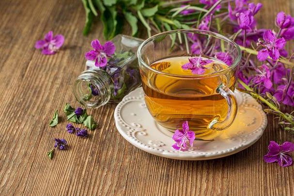 Натуропат Юровский перечислил травы, способные заменить антидепрессанты