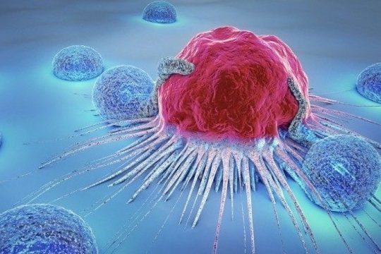 Селен: здоровье клеток и профилактике рака