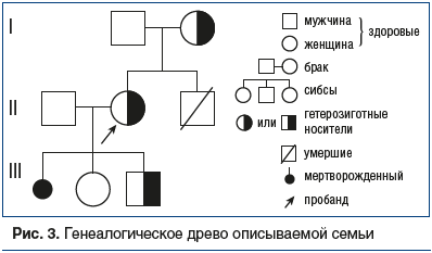 Рис. 3. Генеалогическое древо описываемой семьи
