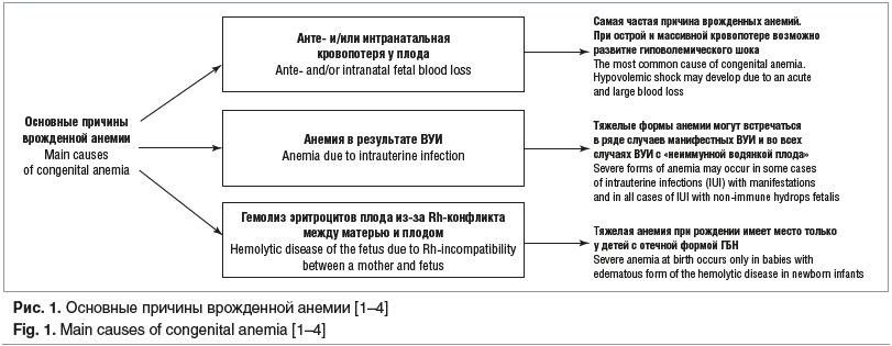 Рис. 1. Основные причины врожденной анемии [1–4] Fig. 1. Main causes of congenital anemia [1–4]