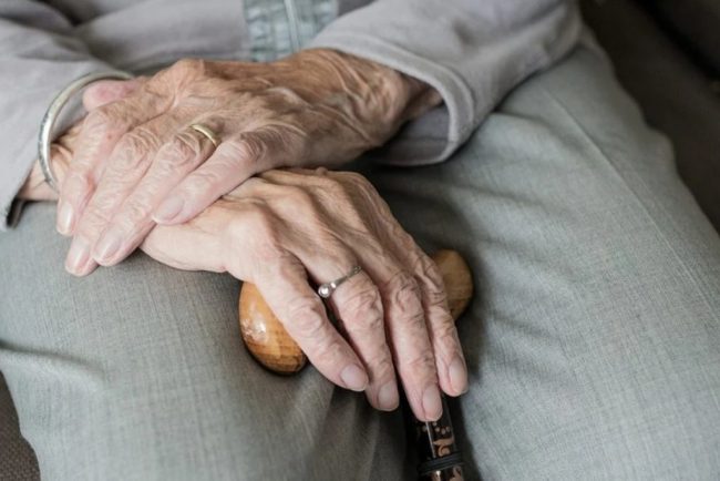 Названы пищевые привычки, замедляющие старение мозга