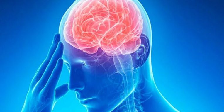 Шесть минут интенсивных упражнений повышают уровень жизненно важной молекулы мозга