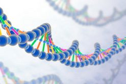 Генетики пролили свет на истинные причины развития анорексии