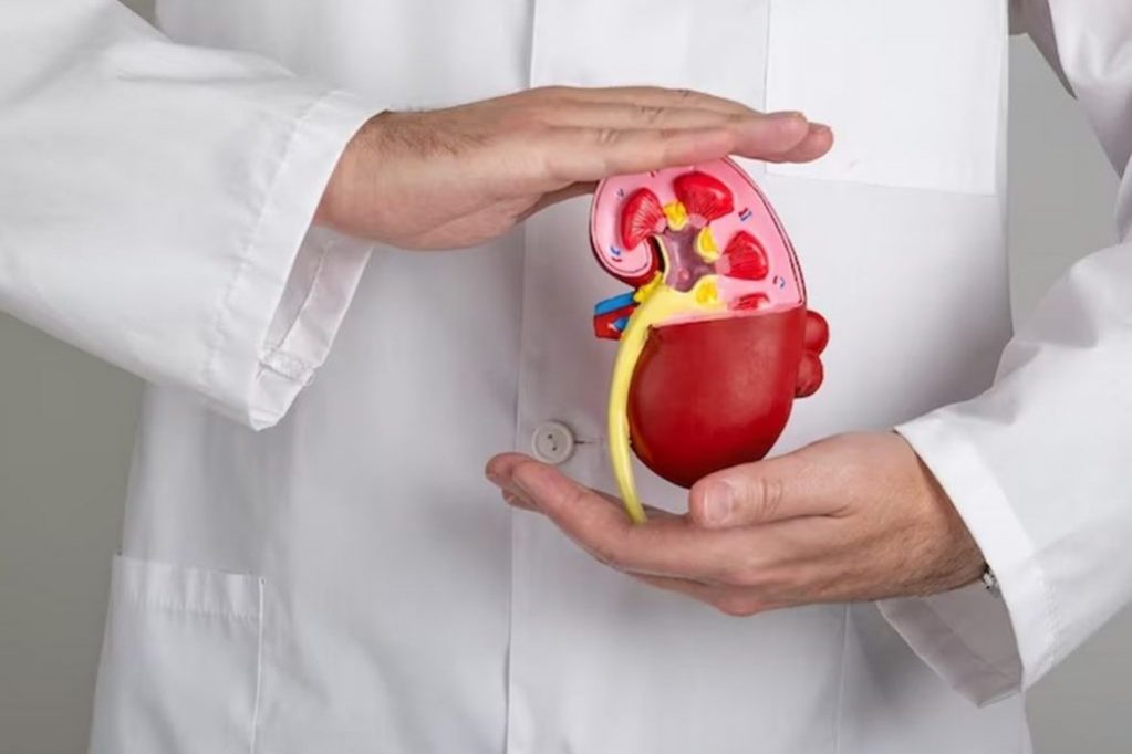 Нефролог Есаян: бессимптомная болезнь почек может стать «тихим убийцей»