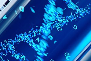 На фоне успеха в борьбе против ожирения компания Novo Nordisk