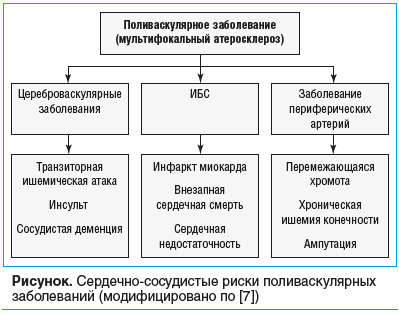 Рисунок. Сердечно-сосудистые риски поливаскулярных заболеваний (модифицировано по [7])