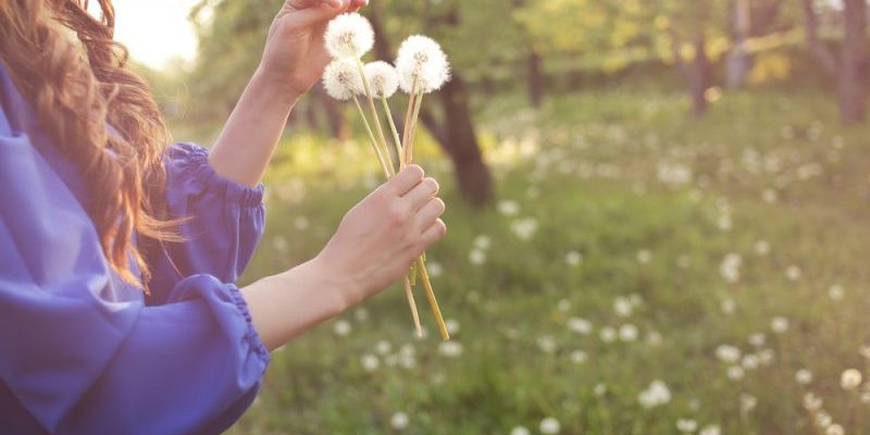 Можно ли вылечить аллергию на пыльцу