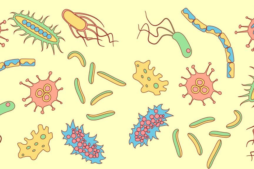 Чем можно заразиться при купании и как этого избежать